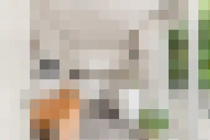 Prinses Beatrixlaan 47 Uitgeest thumbnail 14