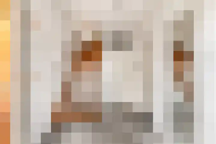 Prinses Beatrixlaan 47 Uitgeest thumbnail 18