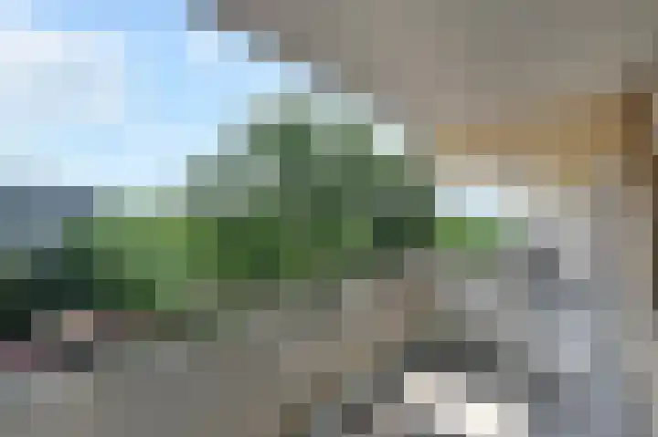 Prinses Beatrixlaan 495 Rijswijk thumbnail 8