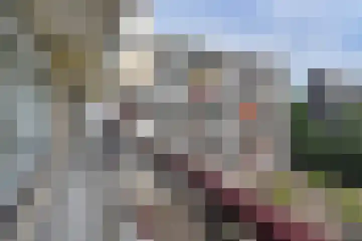Prinses Beatrixlaan 495 Rijswijk thumbnail 9
