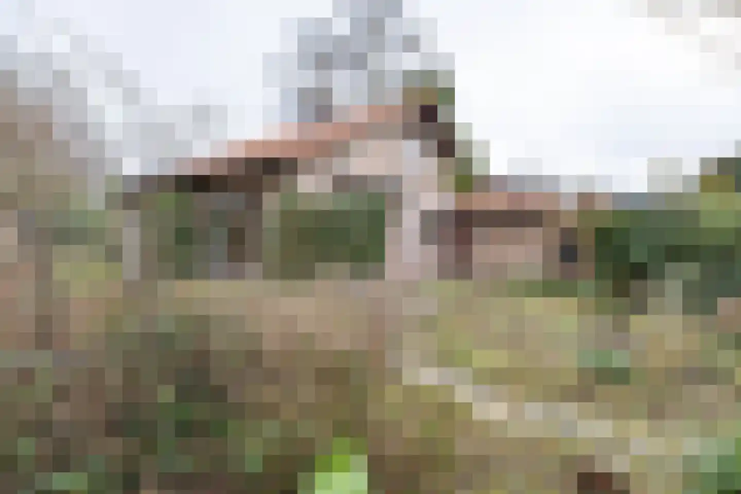 Prinses-Beatrixlaan 5 Leersum thumbnail 35