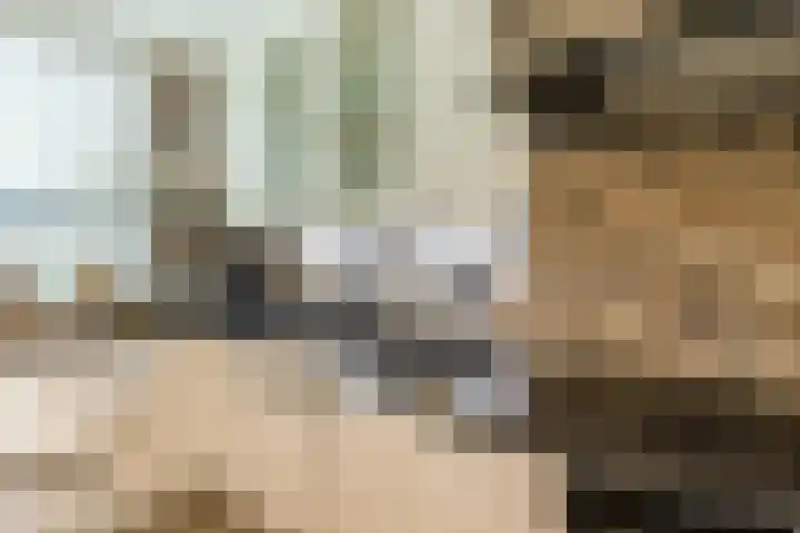 Prinses Beatrixlaan 5 Ohé en Laak thumbnail 12