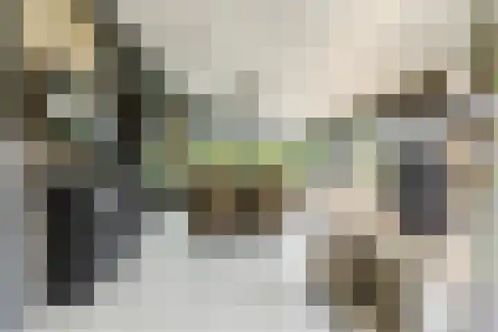 Prinses Beatrixlaan 5 Ohé en Laak thumbnail 15