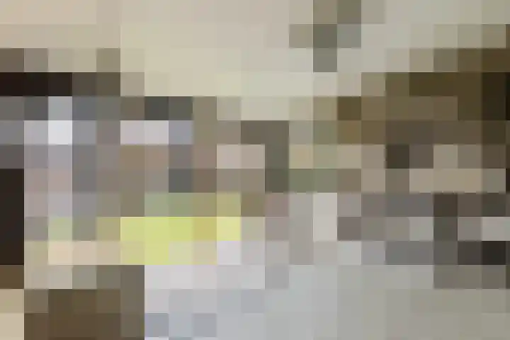Prinses Beatrixlaan 5 Ohé en Laak thumbnail 17