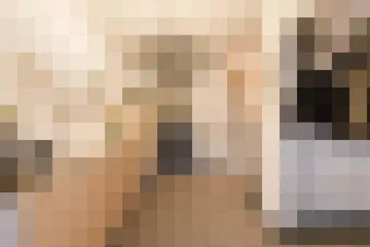 Prinses Beatrixlaan 5 Ohé en Laak thumbnail 18
