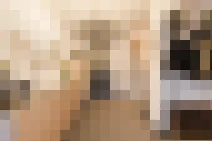 Prinses Beatrixlaan 5 Ohé en Laak thumbnail 19