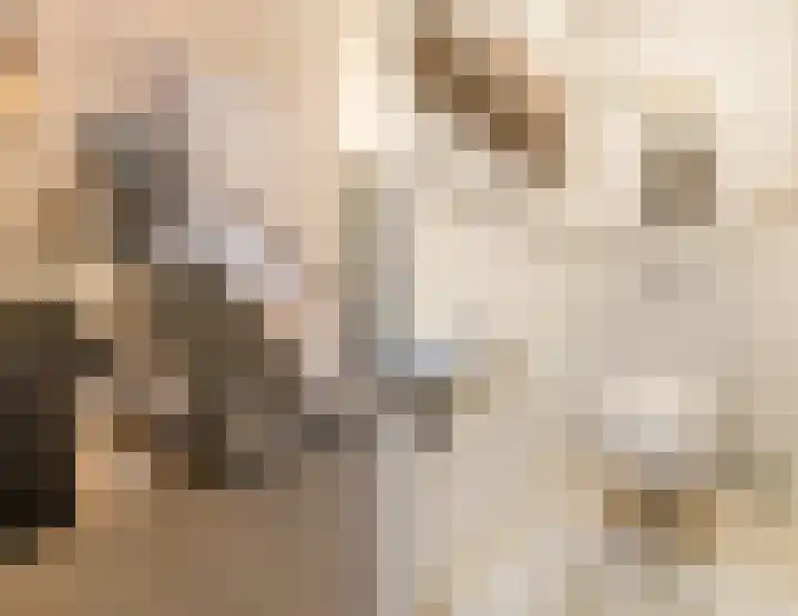 Prinses Beatrixlaan 5 Ohé en Laak thumbnail 24