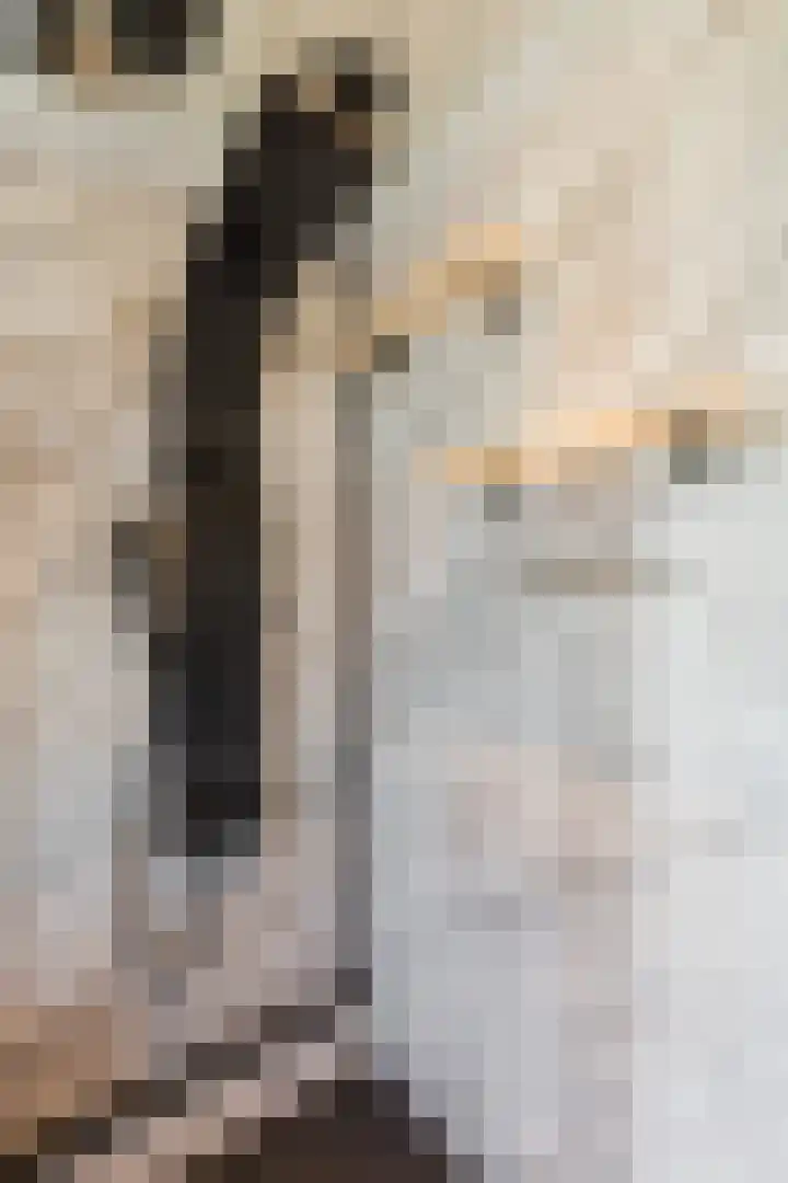 Prinses Beatrixlaan 5 Ohé en Laak thumbnail 33