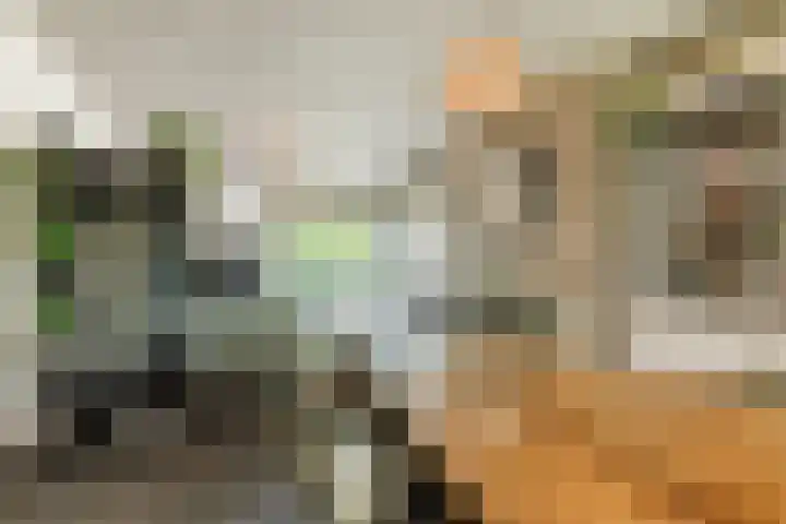 Prinses Beatrixlaan 5 Ohé en Laak thumbnail 6
