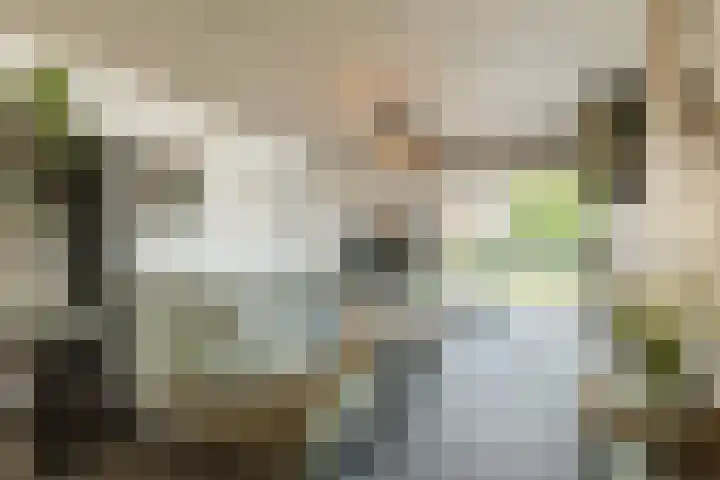 Prinses Beatrixlaan 5 Ohé en Laak thumbnail 7