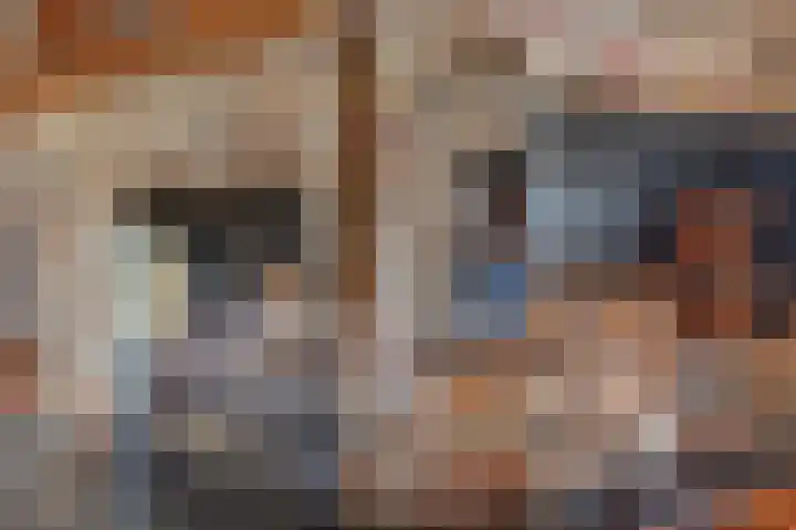 Prinses Beatrixlaan 5 Oranjewoud thumbnail 22