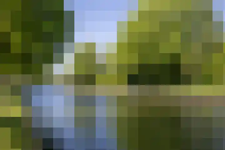 Prinses Beatrixlaan 5 Weesp thumbnail 48