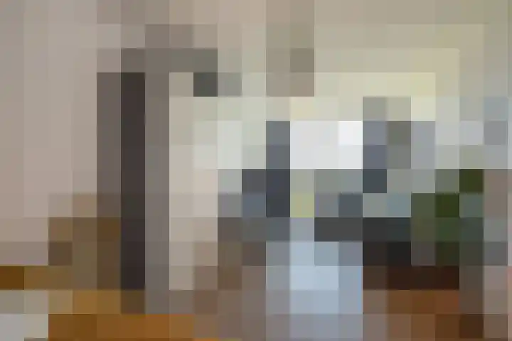 Prinses Beatrixlaan 522 Voorburg thumbnail 36