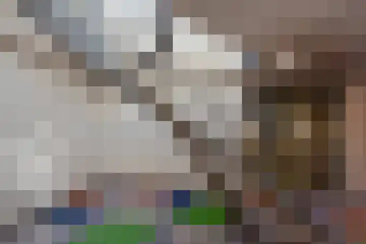 Prinses Beatrixlaan 522 Voorburg thumbnail 48