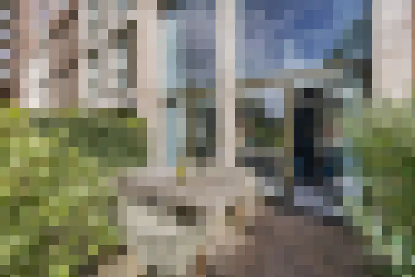 Prinses Beatrixlaan 524 Voorburg thumbnail 14