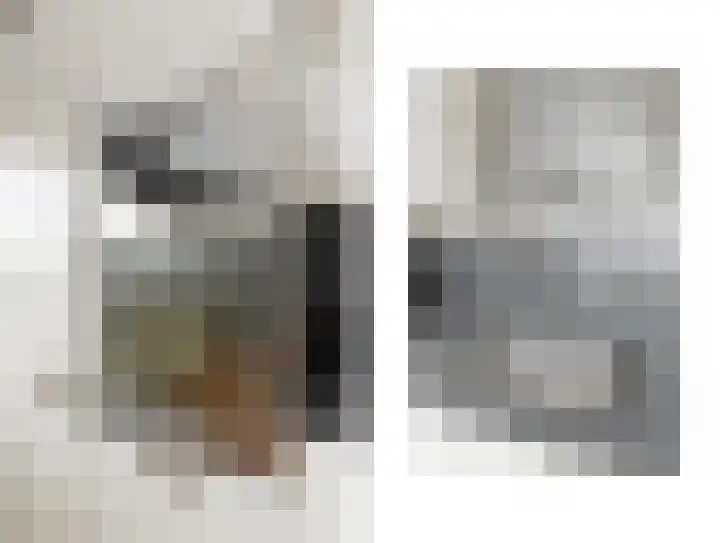 Prinses Beatrixlaan 533 Rijswijk thumbnail 17