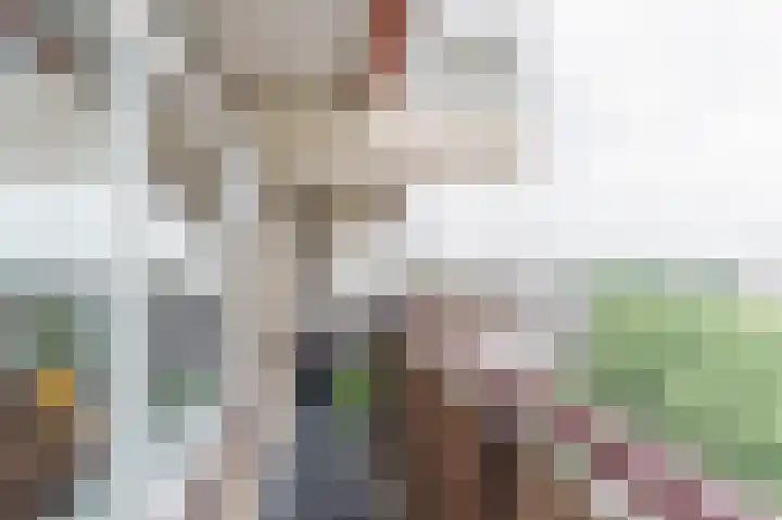 Prinses Beatrixlaan 567 Rijswijk thumbnail 17