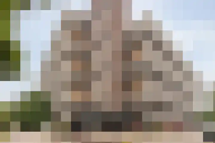 Prinses Beatrixlaan 567 Rijswijk thumbnail 33