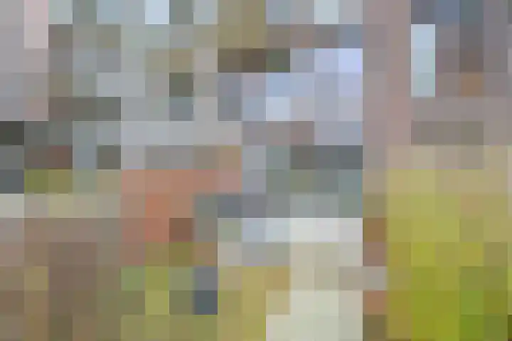 Prinses Beatrixlaan 569 Voorburg thumbnail 18