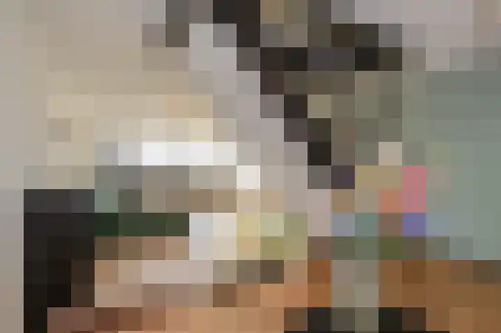Prinses Beatrixlaan 585 Rijswijk thumbnail 27