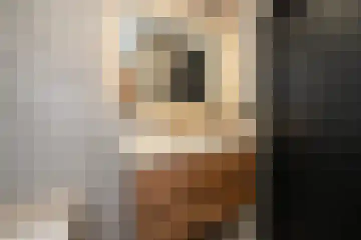 Prinses Beatrixlaan 585 Rijswijk thumbnail 50