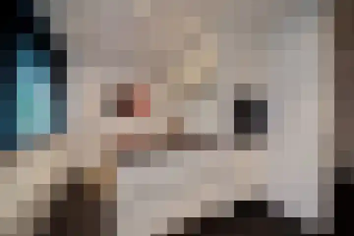 Prinses Beatrixlaan 637 Rijswijk thumbnail 20