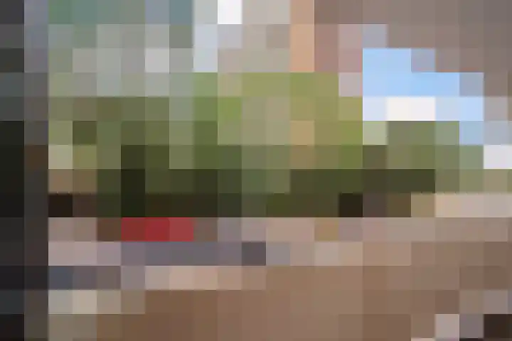 Prinses Beatrixlaan 637 Rijswijk thumbnail 23