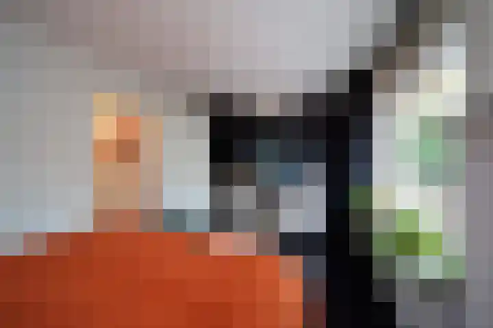 Prinses Beatrixlaan 637 Rijswijk thumbnail 33
