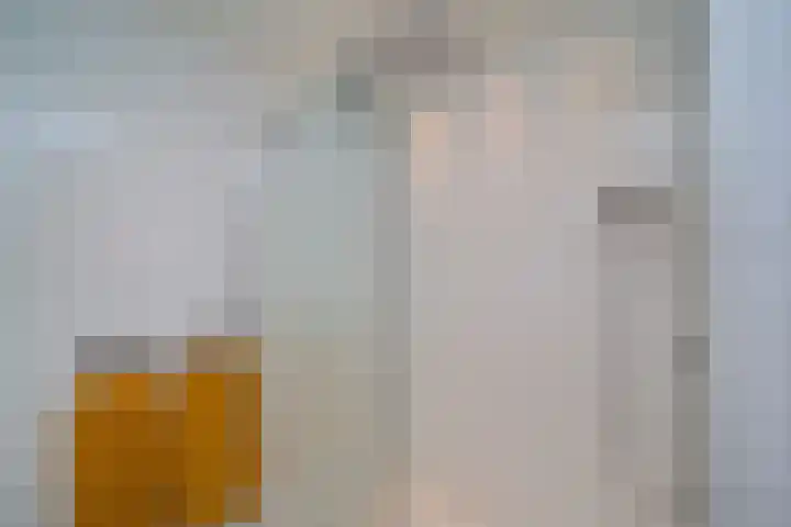 Prinses Beatrixlaan 637 Rijswijk thumbnail 34