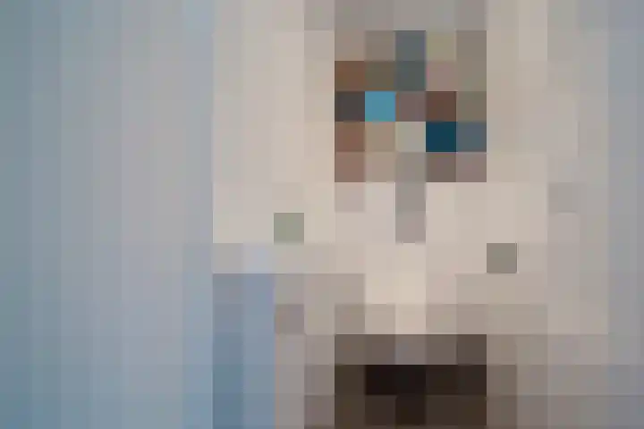 Prinses Beatrixlaan 637 Rijswijk thumbnail 35