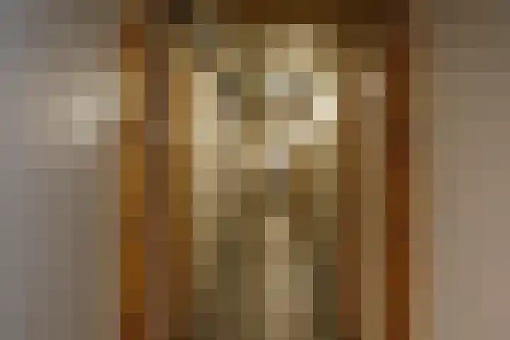 Prinses Beatrixlaan 637 Rijswijk thumbnail 36