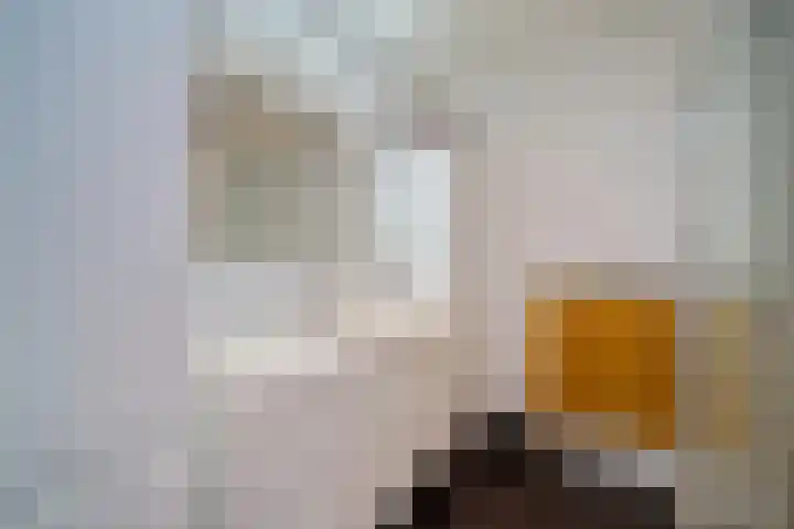 Prinses Beatrixlaan 637 Rijswijk thumbnail 4