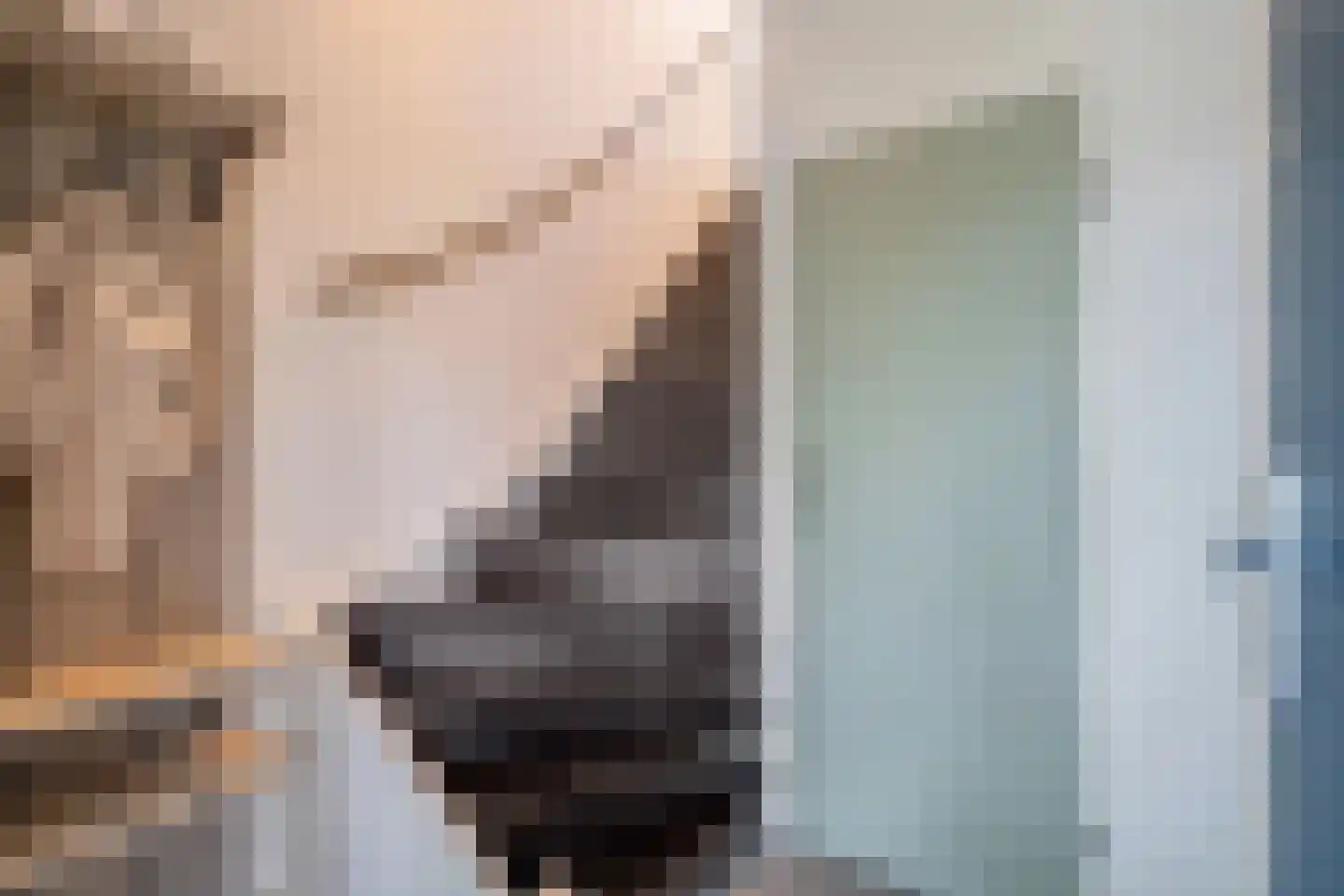 Prinses Beatrixlaan 685 Rijswijk thumbnail 8