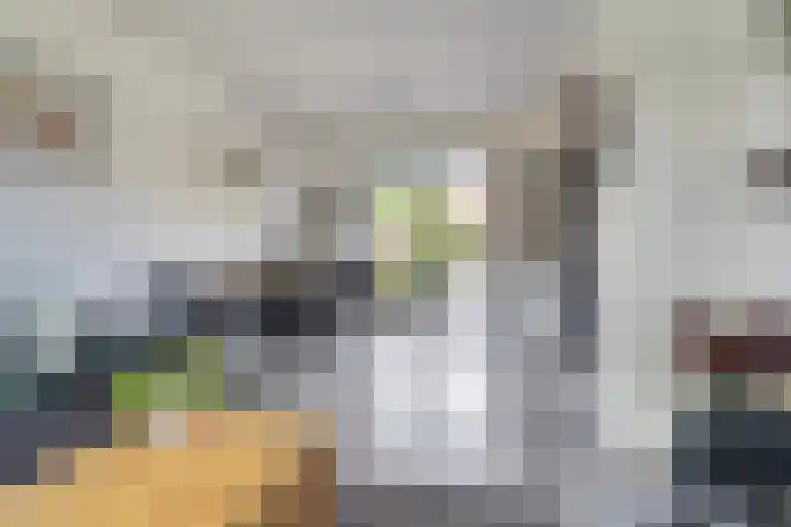 Prinses Beatrixlaan 7 Dieren thumbnail 6