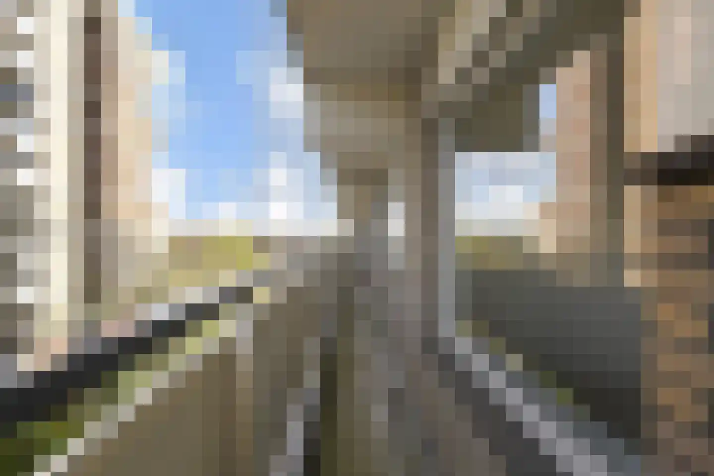 Prinses Beatrixlaan 719 Rijswijk thumbnail 32