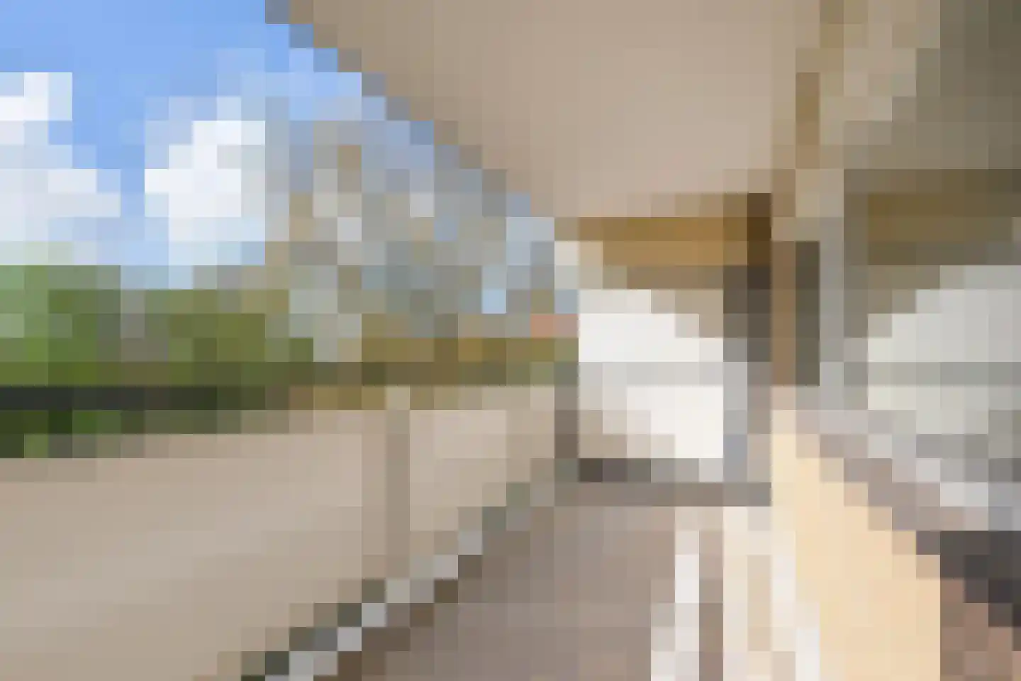 Prinses Beatrixlaan 719 Rijswijk thumbnail 35