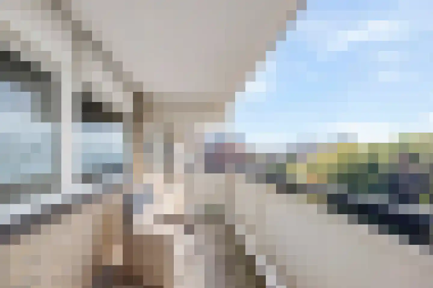Prinses Beatrixlaan 757 Rijswijk thumbnail 19