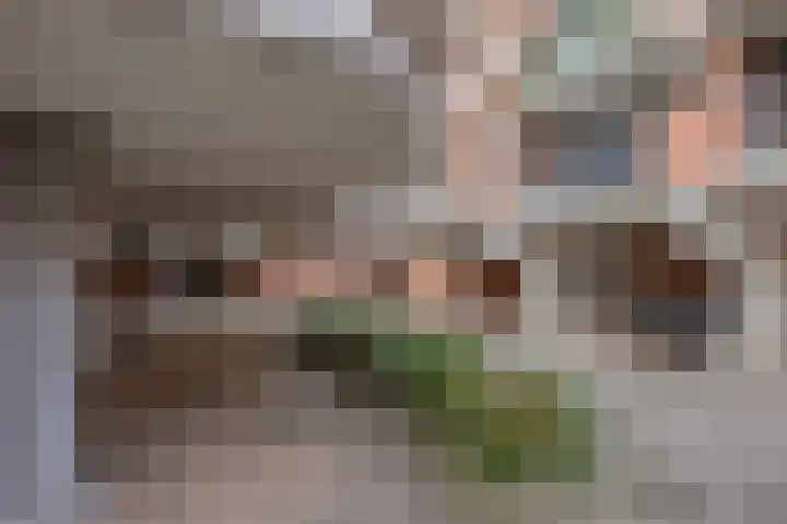 Prinses Beatrixlaan 84 Rijswijk thumbnail 26