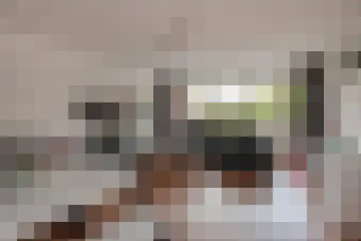 Prinses Beatrixlaan 84 Rijswijk thumbnail 7