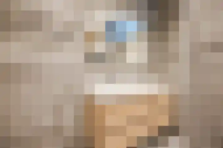 Prinses Beatrixlaan 883 Rijswijk thumbnail 36