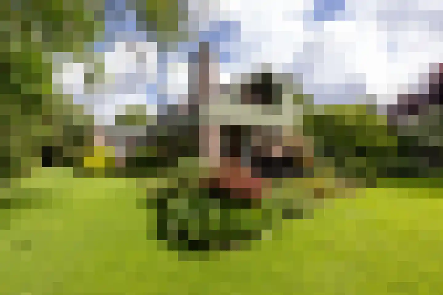 Prinses Beatrixlaan 9 Vlaardingen thumbnail 49