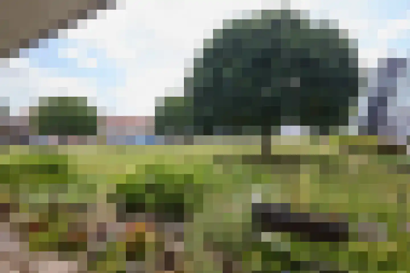 Prinses Beatrixpark 5 Middenbeemster thumbnail 33