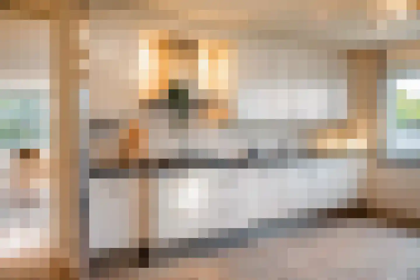 Prinses Beatrixplantsoen 7 A Rotterdam thumbnail 17