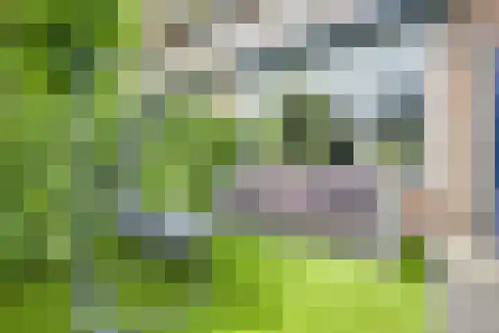 Prinses Beatrixplein 22 Utrecht thumbnail 21