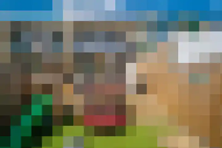 Prinses Beatrixplein 44 Giesbeek thumbnail 17