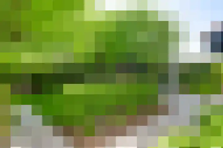 Prinses Beatrixsingel 9 Valkenburg thumbnail 17