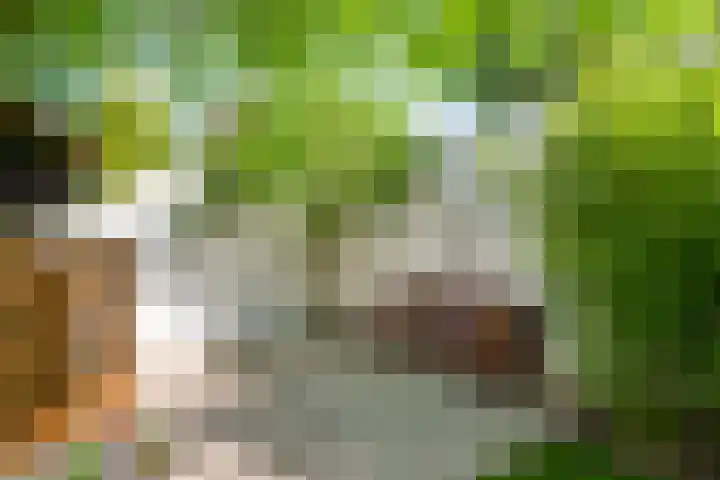 Prinses Beatrixsingel 9 Valkenburg thumbnail 18