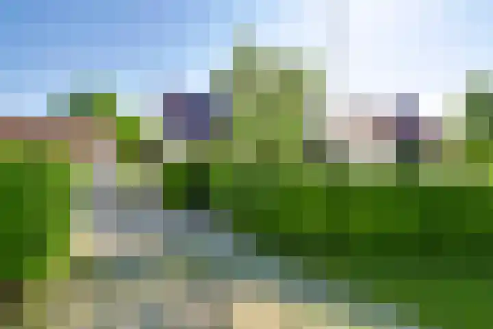Prinses Beatrixsingel 9 Valkenburg thumbnail 28