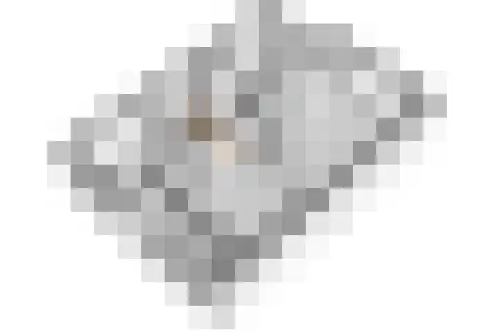 Prinses Beatrixsingel 9 Valkenburg thumbnail 34