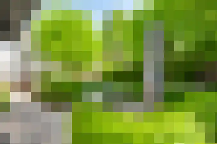 Prinses Beatrixsingel 9 Valkenburg thumbnail 4
